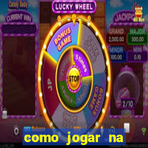 como jogar na teimosinha da lotofacil